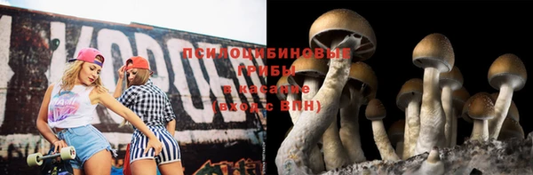 винт Алзамай