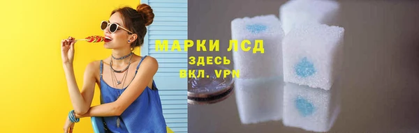 винт Алзамай