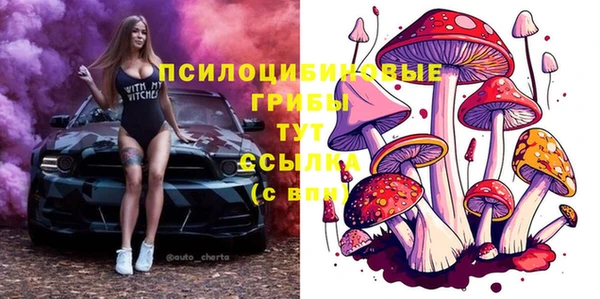 винт Алзамай