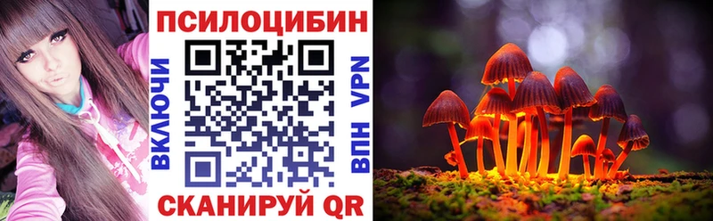 как найти   Арсеньев  Псилоцибиновые грибы MAGIC MUSHROOMS 