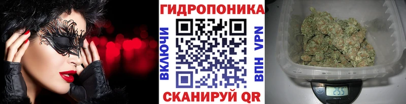 нарко площадка как зайти Арсеньев Канабис марихуана OMG вход